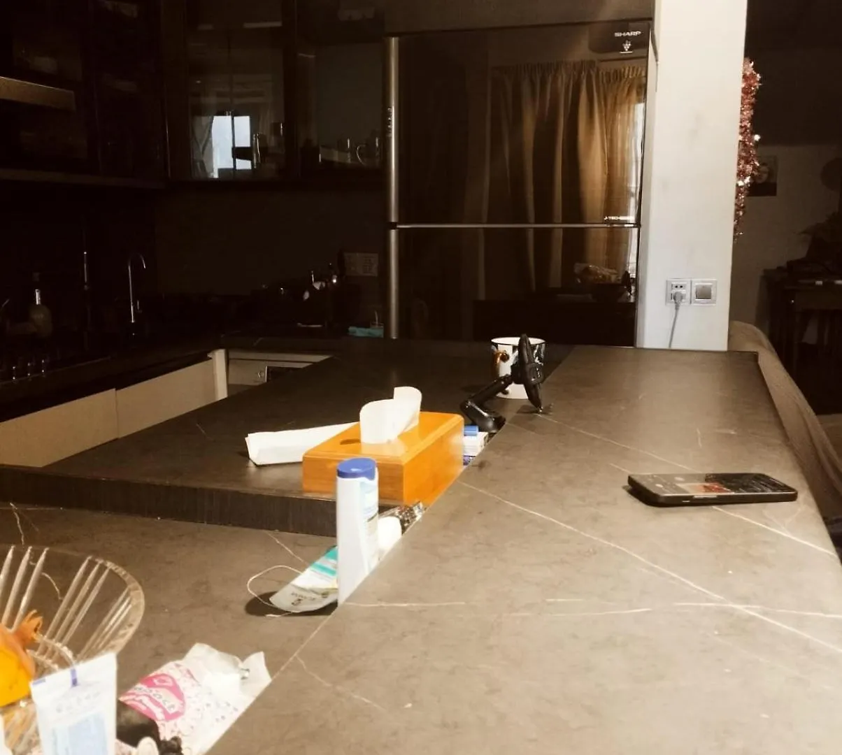 Cozy Vip Loft Apartment Baku 0*,